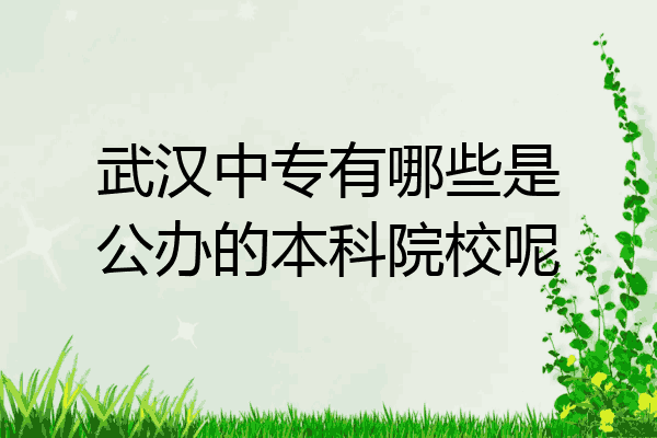 武汉中专有哪些是公办的本科院校呢