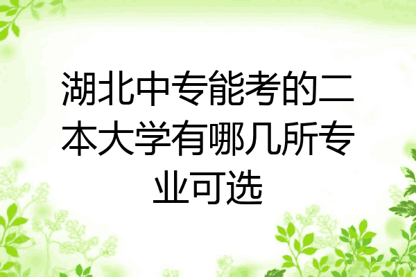 湖北中专能考的二本大学有哪几所专业可选