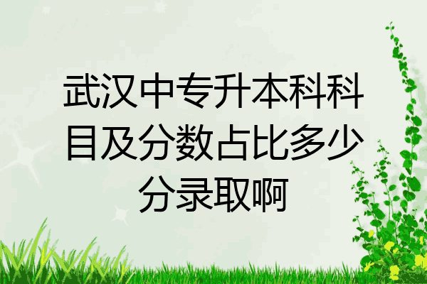 武汉中专升本科科目及分数占比多少分录取啊