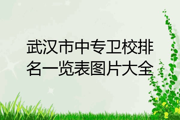 武汉市中专卫校排名一览表图片大全