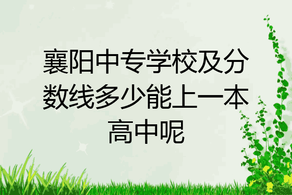 襄阳中专学校及分数线多少能上一本高中呢