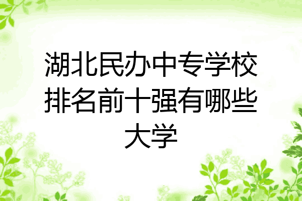 湖北民办中专学校排名前十强有哪些大学