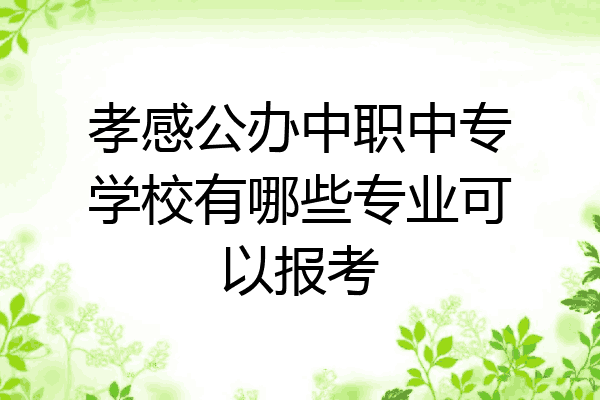 孝感公办中职中专学校有哪些专业可以报考