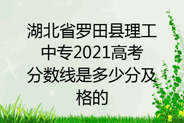 湖北省罗田县理工中专2021高考分数线是多少分及格的