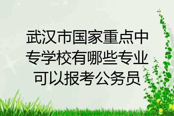 武汉市国家重点中专学校有哪些专业可以报考公务员