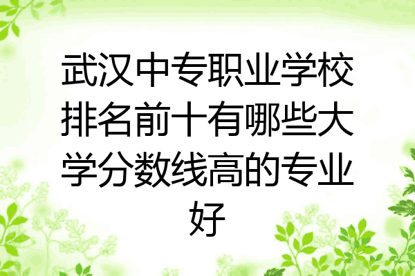 武汉中专职业学校排名前十有哪些大学分数线高的专业好