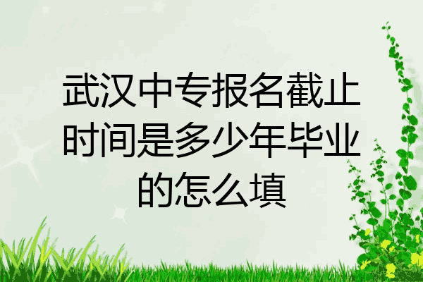 武汉中专报名截止时间是多少年毕业的怎么填