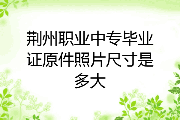 荆州职业中专毕业证原件照片尺寸是多大