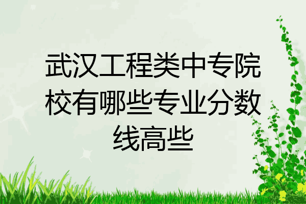 武汉工程类中专院校有哪些专业分数线高些