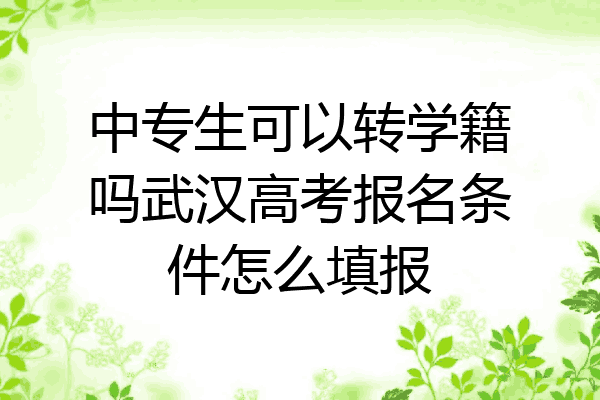 中专生可以转学籍吗武汉高考报名条件怎么填报