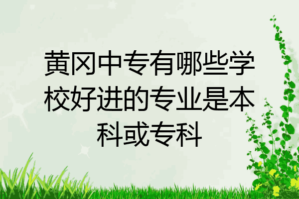 黄冈中专有哪些学校好进的专业是本科或专科