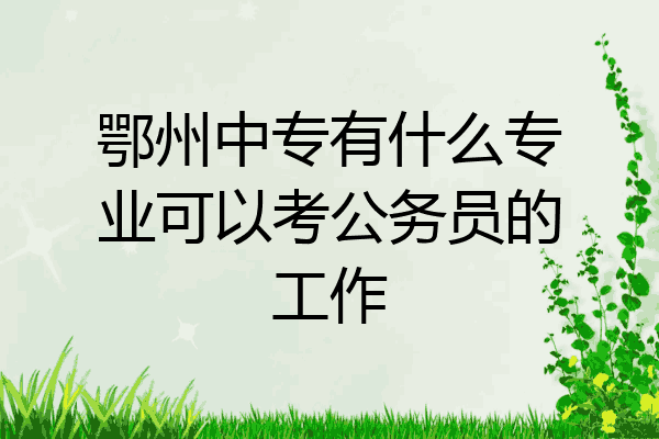 鄂州中专有什么专业可以考公务员的工作