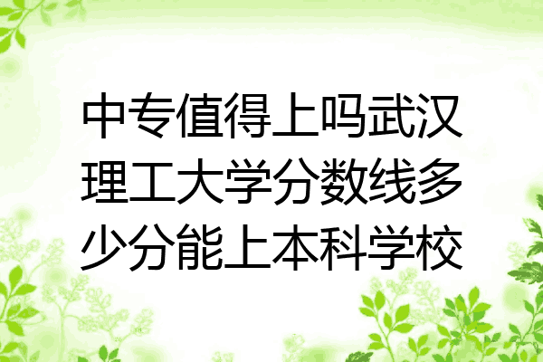 中专值得上吗武汉理工大学分数线多少分能上本科学校