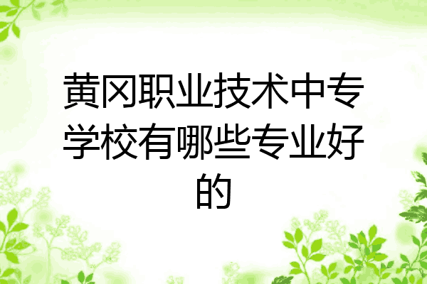 黄冈职业技术中专学校有哪些专业好的