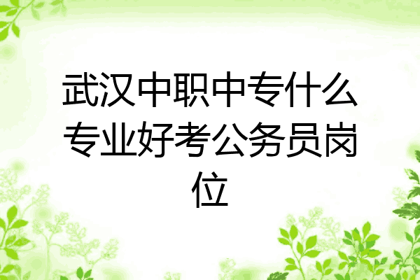 武汉中职中专什么专业好考公务员岗位
