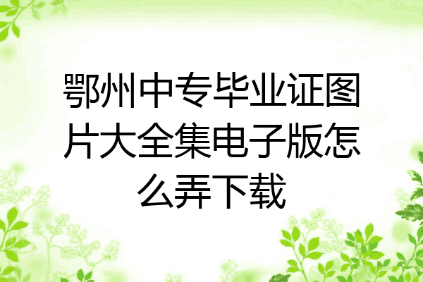 鄂州中专毕业证图片大全集电子版怎么弄下载
