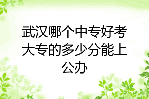 武汉哪个中专好考大专的多少分能上公办