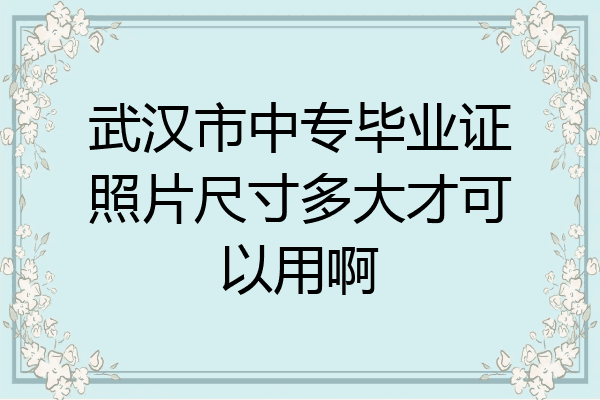 武汉市中专毕业证照片尺寸多大才可以用啊