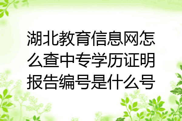 湖北教育信息网怎么查中专学历证明报告编号是什么号