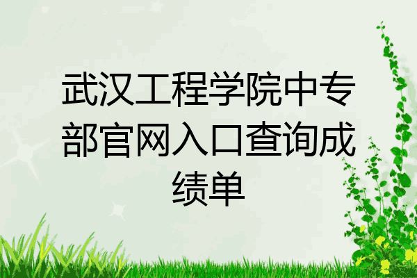武汉工程学院中专部官网入口查询成绩单