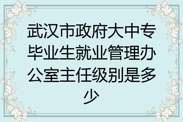 武汉市政府大中专毕业生就业管理办公室主任级别是多少