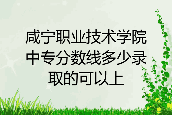 咸宁职业技术学院中专分数线多少录取的可以上