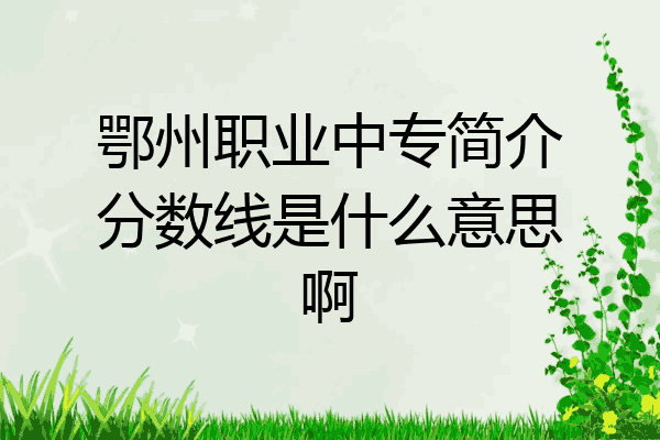 鄂州职业中专简介分数线是什么意思啊