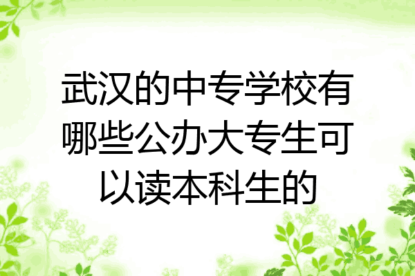 武汉的中专学校有哪些公办大专生可以读本科生的
