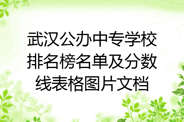 武汉公办中专学校排名榜名单及分数线表格图片文档