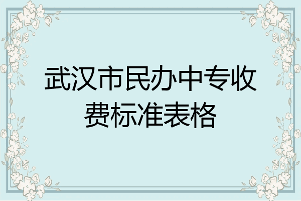 武汉市民办中专收费标准表格