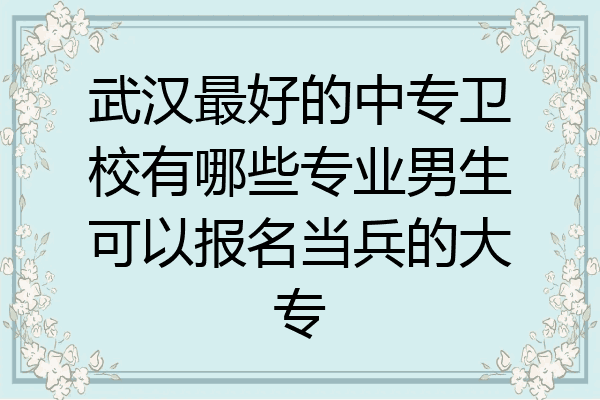 武汉最好的中专卫校有哪些专业男生可以报名当兵的大专