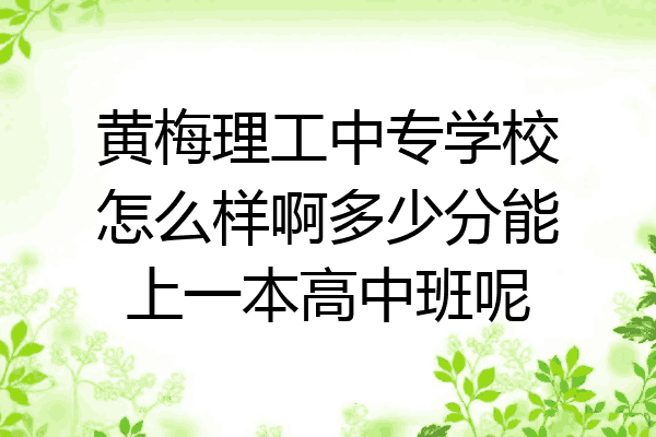 黄梅理工中专学校怎么样啊多少分能上一本高中班呢