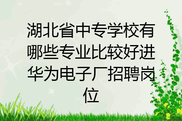 湖北省中专学校有哪些专业比较好进华为电子厂招聘岗位