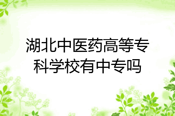 湖北中医药高等专科学校有中专吗