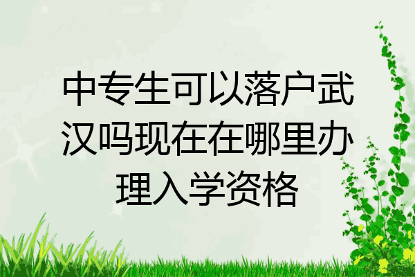 中专生可以落户武汉吗现在在哪里办理入学资格