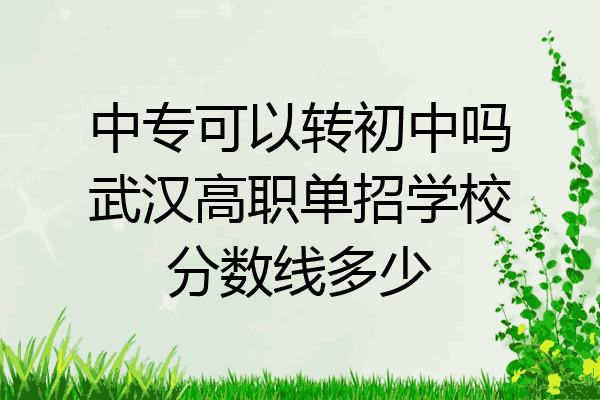 中专可以转初中吗武汉高职单招学校分数线多少
