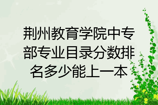 荆州教育学院中专部专业目录分数排名多少能上一本