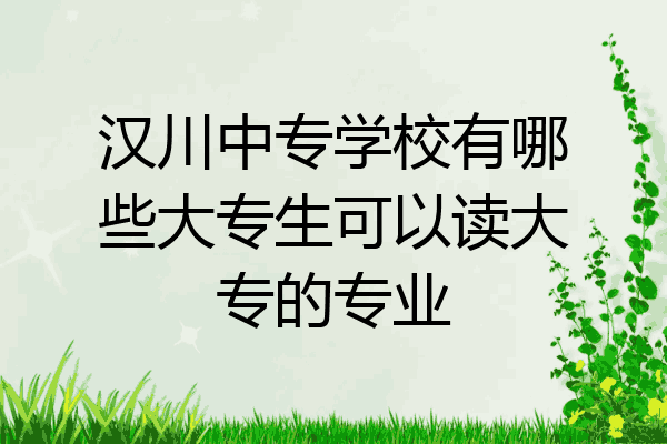 汉川中专学校有哪些大专生可以读大专的专业