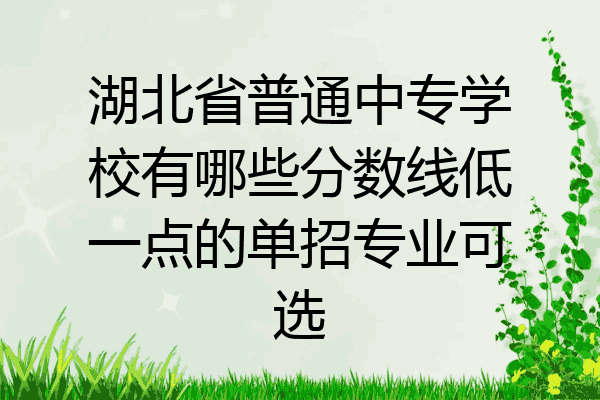 湖北省普通中专学校有哪些分数线低一点的单招专业可选