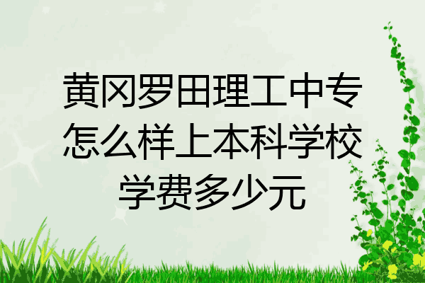 黄冈罗田理工中专怎么样上本科学校学费多少元