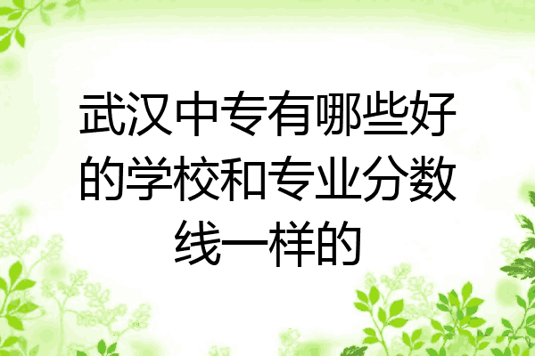 武汉中专有哪些好的学校和专业分数线一样的
