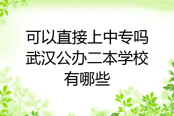 可以直接上中专吗武汉公办二本学校有哪些