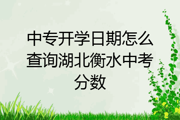 中专开学日期怎么查询湖北衡水中考分数