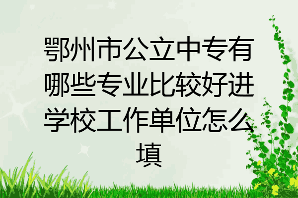 鄂州市公立中专有哪些专业比较好进学校工作单位怎么填