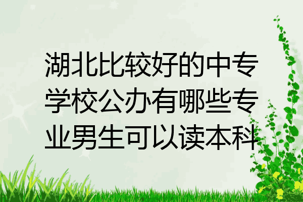 湖北比较好的中专学校公办有哪些专业男生可以读本科
