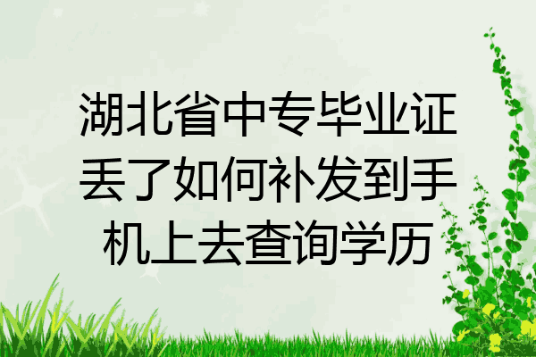 湖北省中专毕业证丢了如何补发到手机上去查询学历