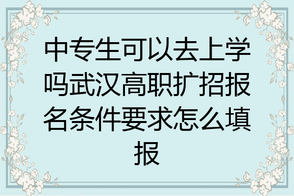 中专生可以去上学吗武汉高职扩招报名条件要求怎么填报