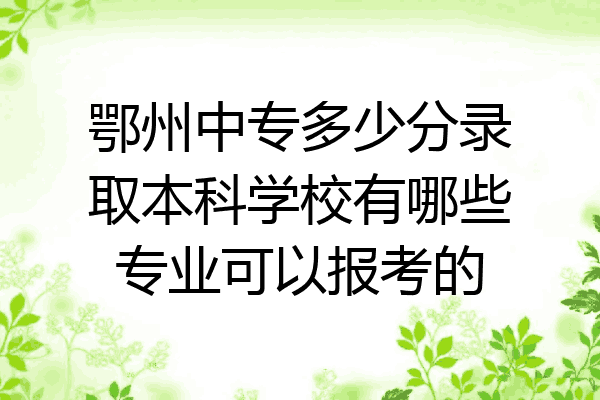 鄂州中专多少分录取本科学校有哪些专业可以报考的