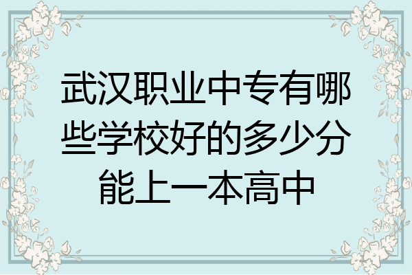 武汉职业中专有哪些学校好的多少分能上一本高中