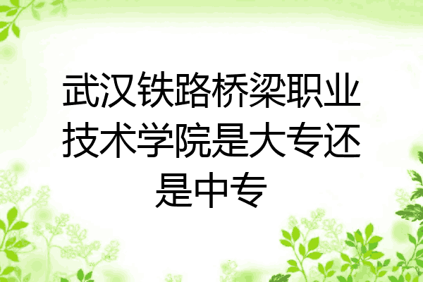 武汉铁路桥梁职业技术学院是大专还是中专